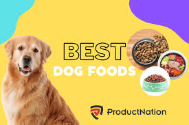 10 best dog foods in singapore 2023