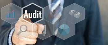 Difference Between Cost Audit And Financial Audit With