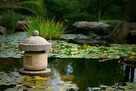 Adding A Fish Pond To Your Garden
