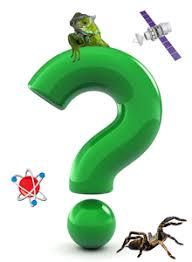 Do you have a child entering the fi. Science Trivia For Kids Kids Science Trivia Science Fun