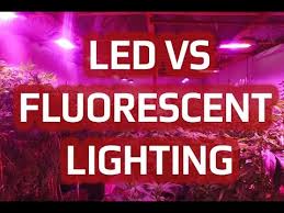 Compare Differences Between Fluorescent Vs Led Grow Lights California Lightworks