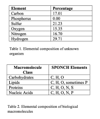 element carbon phosphorus sulfur oxygen