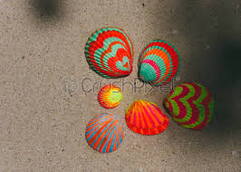 Stock Photo Collection Of Decorated Sea Shells