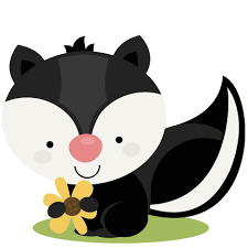 Image result for cute skunk