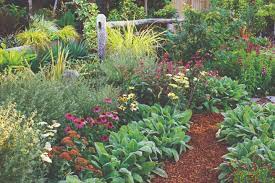 new book highlights drought tolerant
