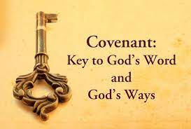 new covenant life