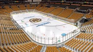 td garden changed the colour of its