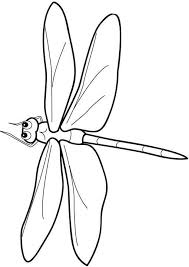 Dragon fly clipart coloring png. Detailed Dragonfly Coloring Pages Coloring Pages Animal Coloring Pages Silhouette Clip Art
