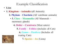 Classification Of Living Things Ppt Video Online Download