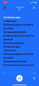 🐊 Naps-T-shirt croco 🐊 #naps #croco #song #2016 #pourtoi #frenchson... |  TikTok