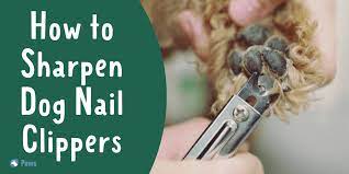 how to sharpen dog nail clippers at