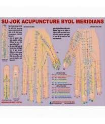Details About Sujok Acupuncture Byol Meridian Chart