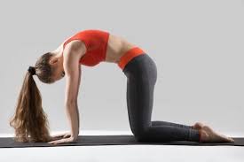 Benefits and uses the cat/cow stretches are perfect for warming up the body and creating length and mobility in the spine. Marjariasana Cat Pose Steps Benefits Precautions The Indian Med