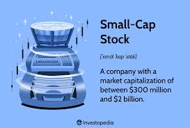 what are small cap stocks and are they