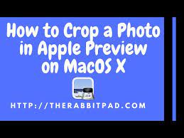 photo in apple preview on mac os