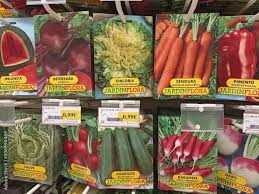 selection of vegetable seeds packets
