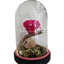 Glass Led Bell With Ia Rose That