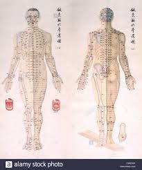 Chinese Chart Of Acupuncture Points On A Male Body With