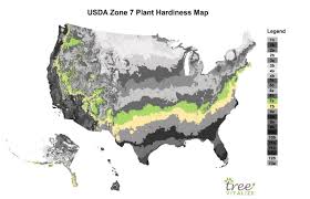 Usda Zone 7 Where Is It What To Plant