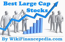 top 10 best large cap stocks to