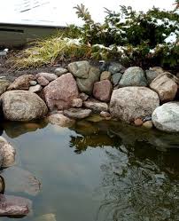 How To Maintain A Landscape Pond