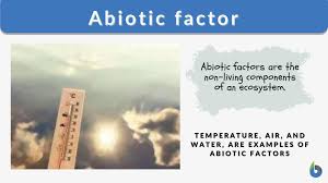 abiotic factor definition and