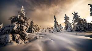 landscape nature snow covered trees