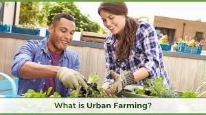What Is Urban Farming Understanding