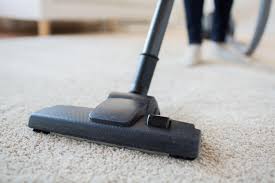 getting rid of carpet fleas the best way