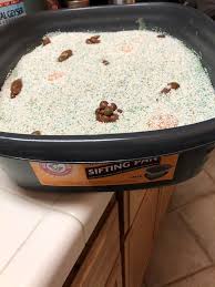 This kitty litter cake recipe has been around for quite a few years. Imgur User Bakes Cat Litter Box Cake And It S Way Too Realistic I Can Has Cheezburger