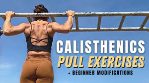 10 calisthenics pull exercises to feel