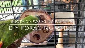 diy parrot foraging wheel you