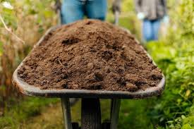 How To Improve Your Soil