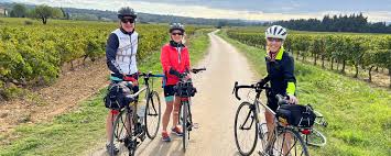 guided bike tours bicycle tour
