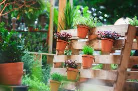 10 pallet garden ideas to bring new