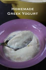 homemade greek yogurt recipe how to