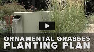 Ornamental Grass Landscaping Ideas