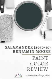 Benjamin Moore Salamander Color Review