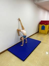 gym mats gymnastics floor mats hobbies