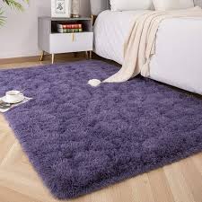 college dorm fuzzy rugs living room