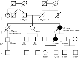 Chart Showing The Family Pedigree Of The Case Patient