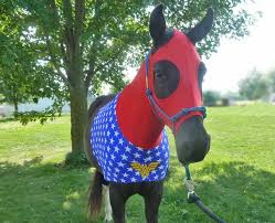 Costumes For Horses Find Your