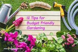 12 Budget Friendly Gardening Tips