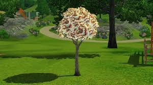 Where To Find A Money Tree Seed In Sims 3