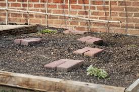 Garden Bed For Planting Without Tilling