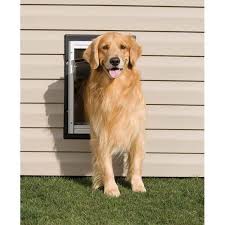 Petsafe Wall Entry Aluminum Pet Door