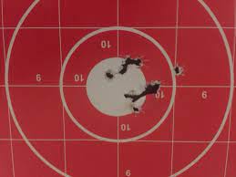gun review ruger 10 22 target