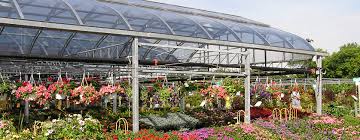10 Greenhouse Design Mistakes To Avoid