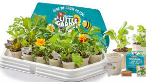 Checkers Little Garden Is Back And