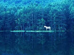 長野県】神秘的な青の風景を求めて。東山魁夷『緑響く』のモチーフとなった御射鹿池。 | たびこふれ
